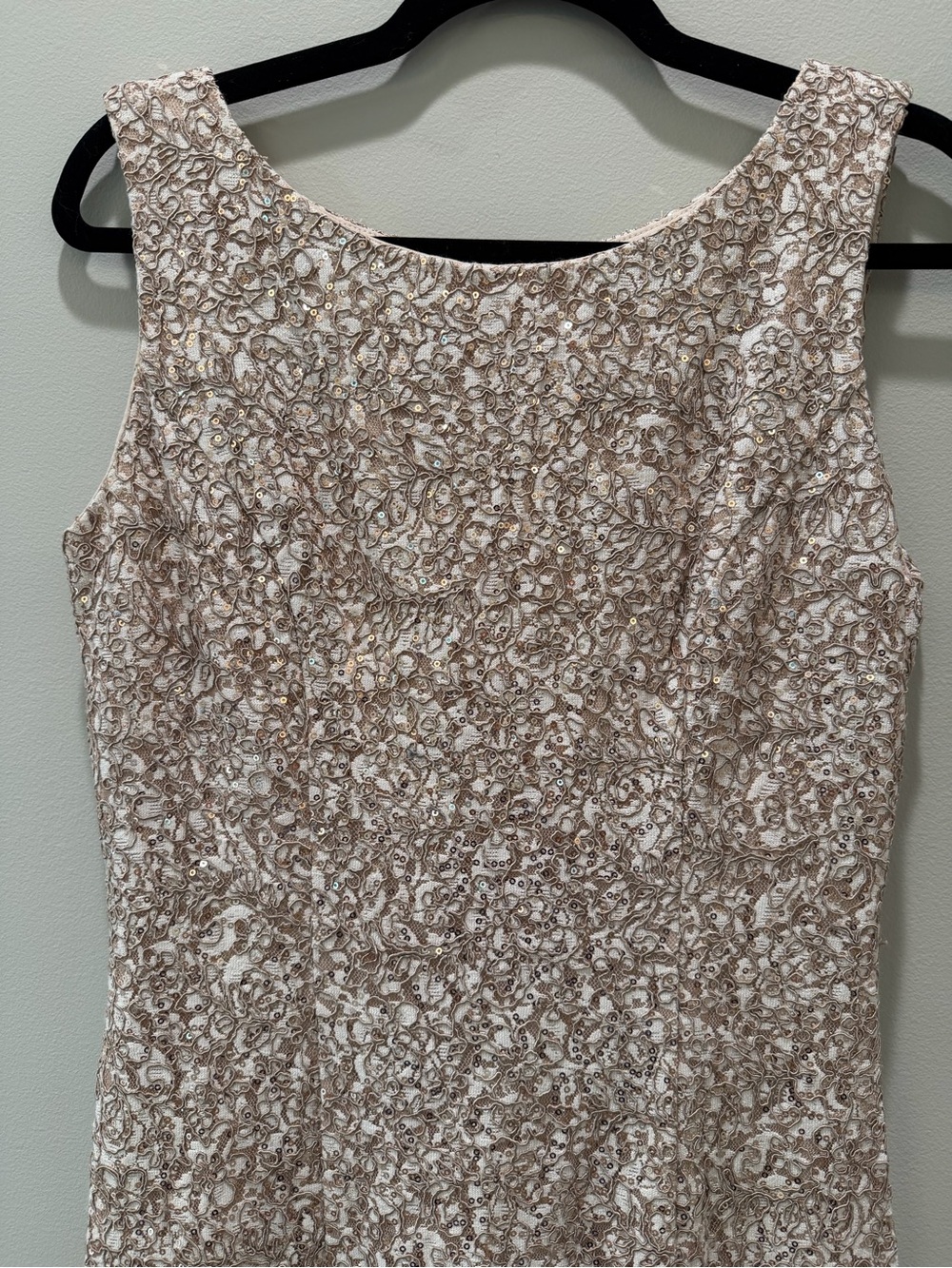 Alex Evenings Size 6 Champagne Gold Sequin Lace Maxi Dress Gown - Picture 3 of 7